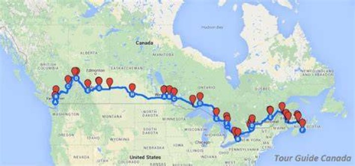 How do you travel across Canada with a cat?